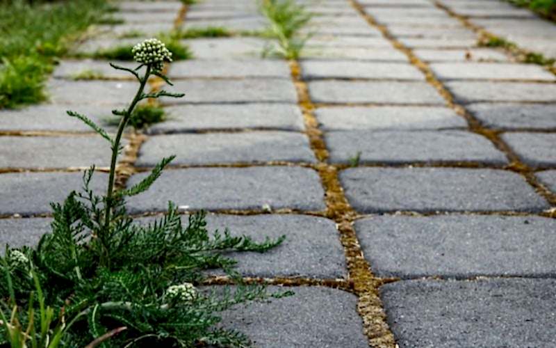 Bahçe Taş Döşeme